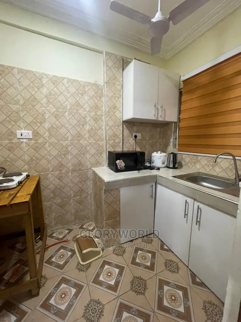 Beautifully Furnished 1 Bedroom Apartment at Spintex(Per Day in Spintex