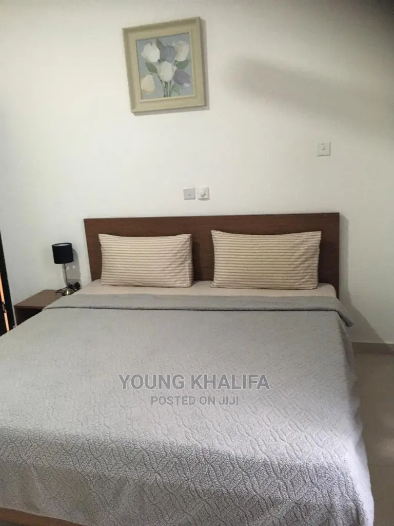Fully Furnished 2 Bedroom Apartment for Rent Spintex Estate in Spintex