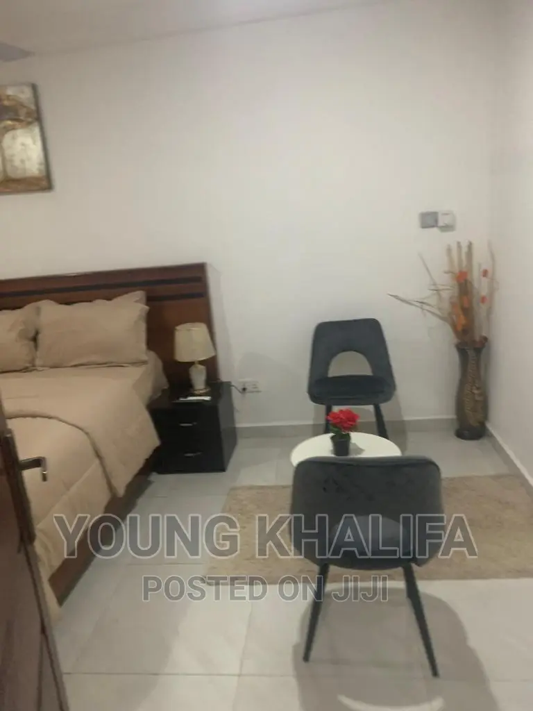 Furnished 1 Bedroom Studio Apartments for Rent East Legon in East Legon