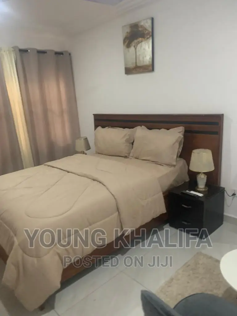 Furnished 1 Bedroom Studio Apartments for Rent East Legon in East Legon