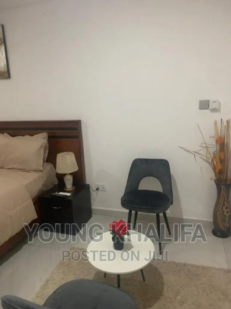 Furnished 1 Bedroom Studio Apartments for Rent East Legon in East Legon