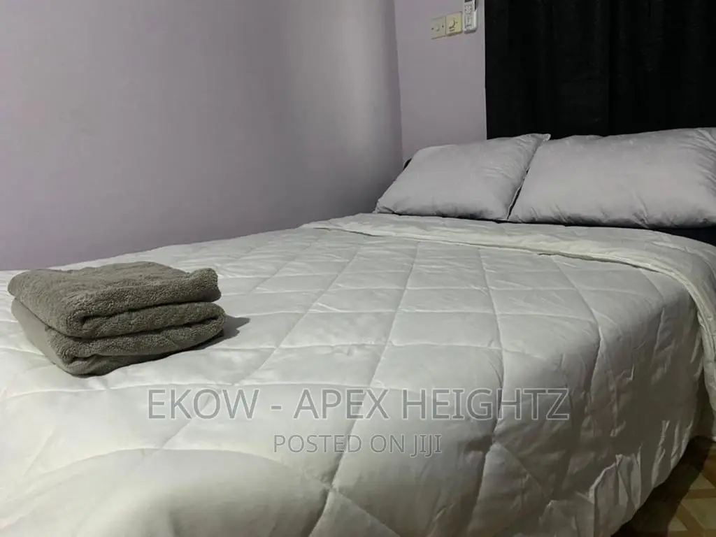 Fully Furnished Apartment for Short Stay.Luxury and Serenity in Dansoman