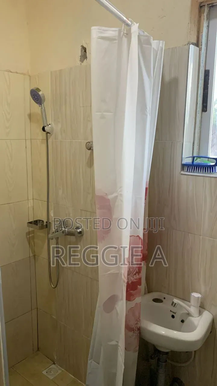 One Bedroom Fully Furnished Studio Ensuite in Lartebiokorshie