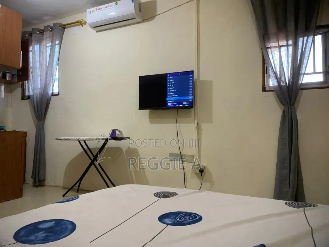 One BDRM Furnished Studio Ensuite in Lartebiokoshie