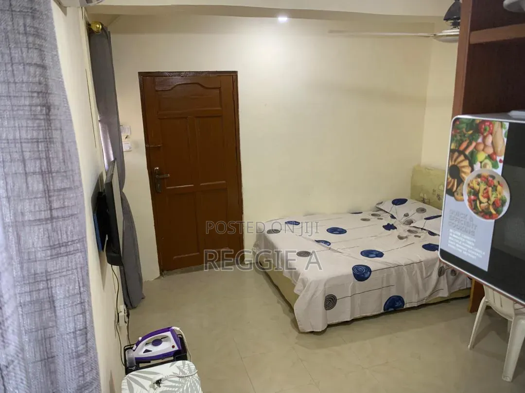 One BDRM Furnished Studio Ensuite in Lartebiokoshie