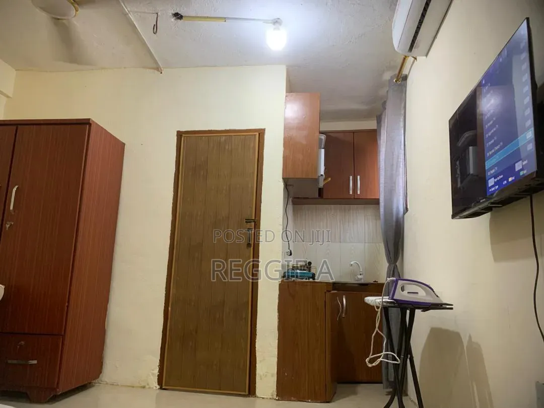 One BDRM Furnished Studio Ensuite in Lartebiokoshie