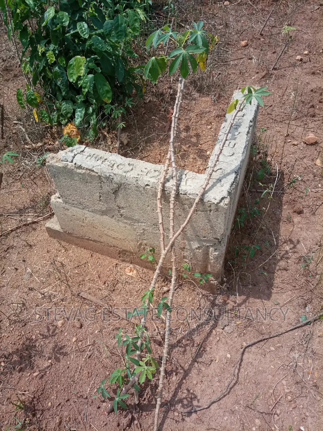 Alpha Estate License Land at Winneba Nsuakyiri Beach for Sale in Awutu Senya East Municipal