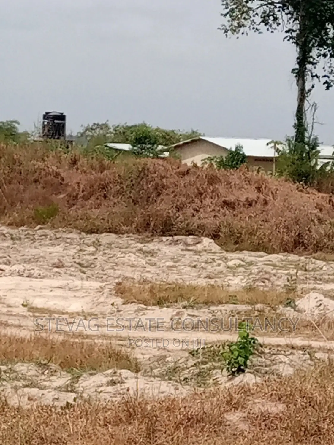 Alpha Properties Real Estate Land for Sale at Kasoa Akraman in Awutu Senya East Municipal