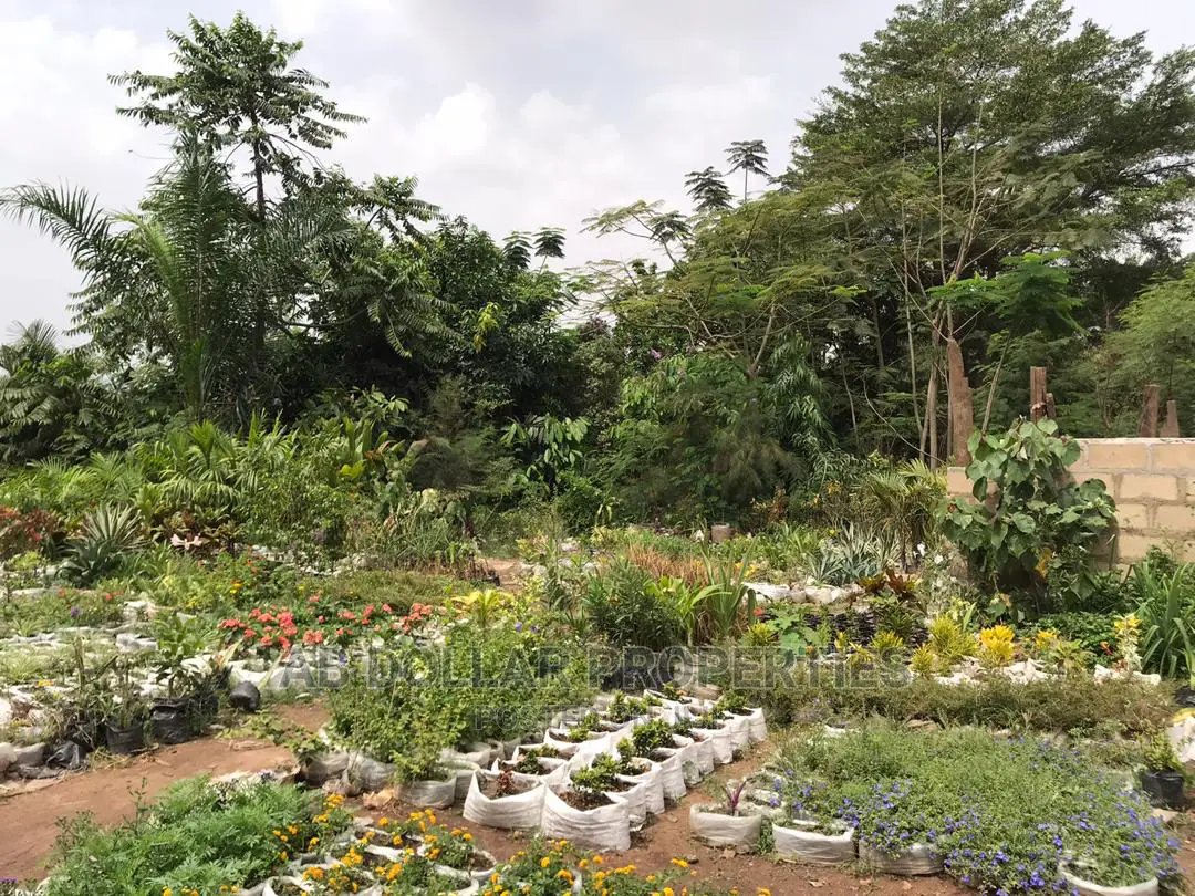 3 Acres of Land for Sale in Papaye