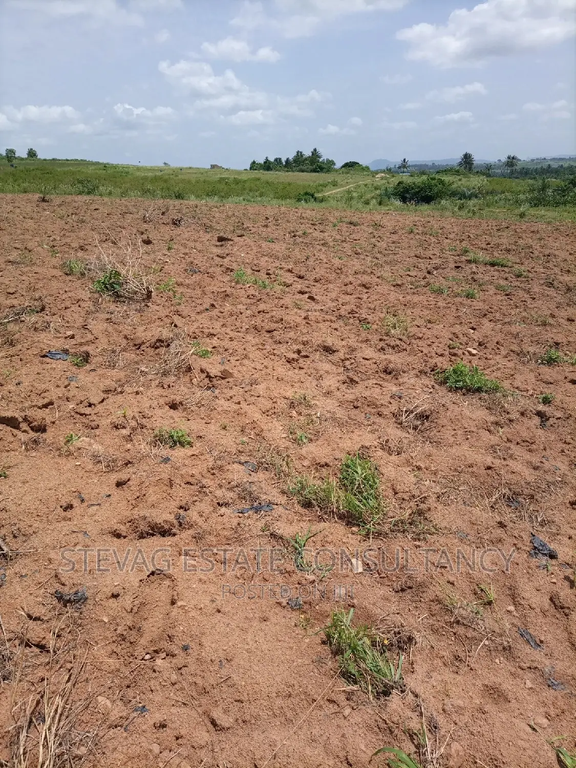 Alpha Properties Real Estate Land 4sale at Amasaman Obom Ashifla in Ga South Municipal