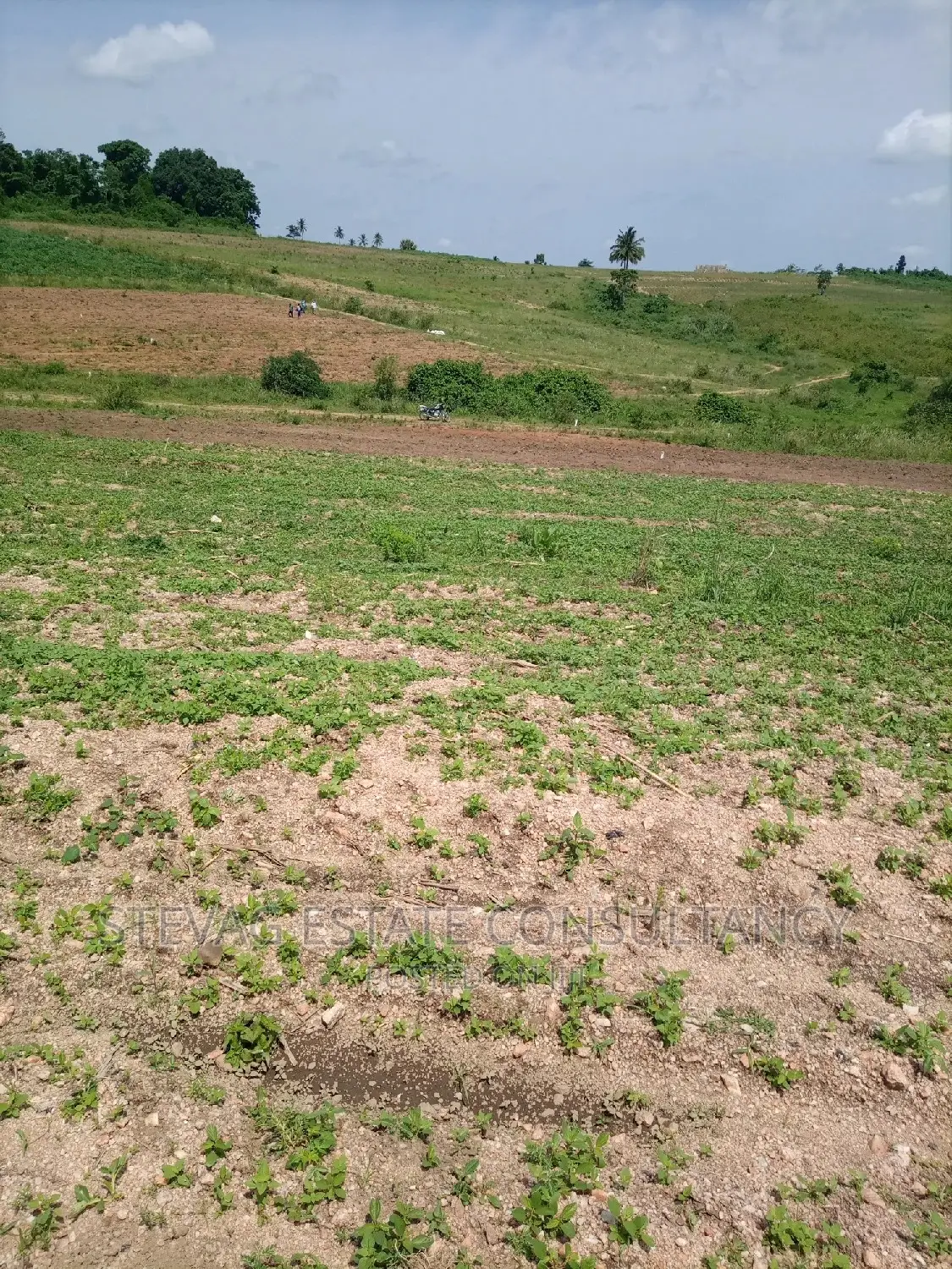 Alpha Properties Real Estate Land 4sale at Amasaman Obom Ashifla in Ga South Municipal