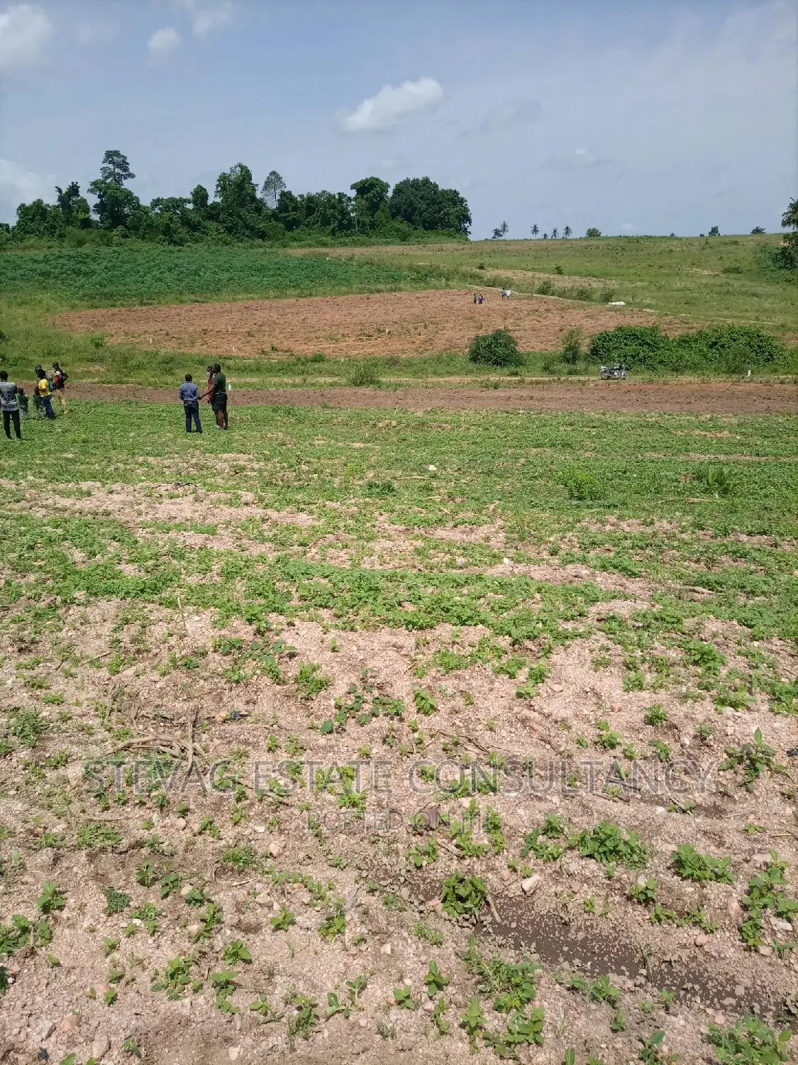 Alpha Properties Real Estate Land 4sale at Amasaman Obom Ashifla in Ga South Municipal