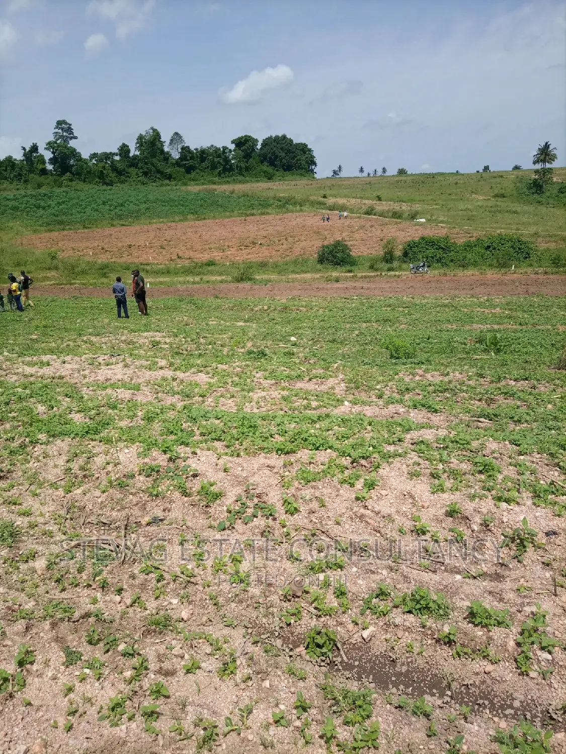 Alpha Properties Real Estate Land 4sale at Amasaman Obom Ashifla in Ga South Municipal
