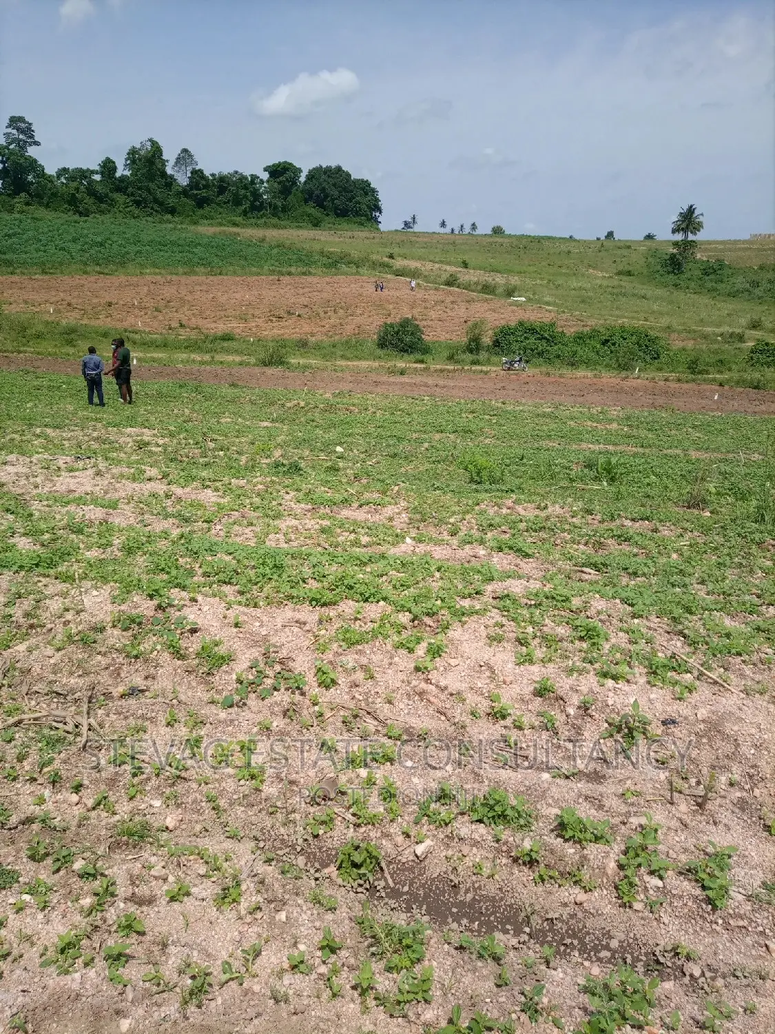 Estate Land for Sale at Kasoa Akraman in Awutu Senya East Municipal