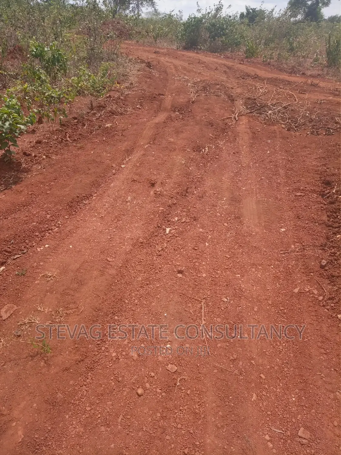 Alpha Properties Real Estate Land at Kasoa Akraman 4sale in Awutu Senya East Municipal