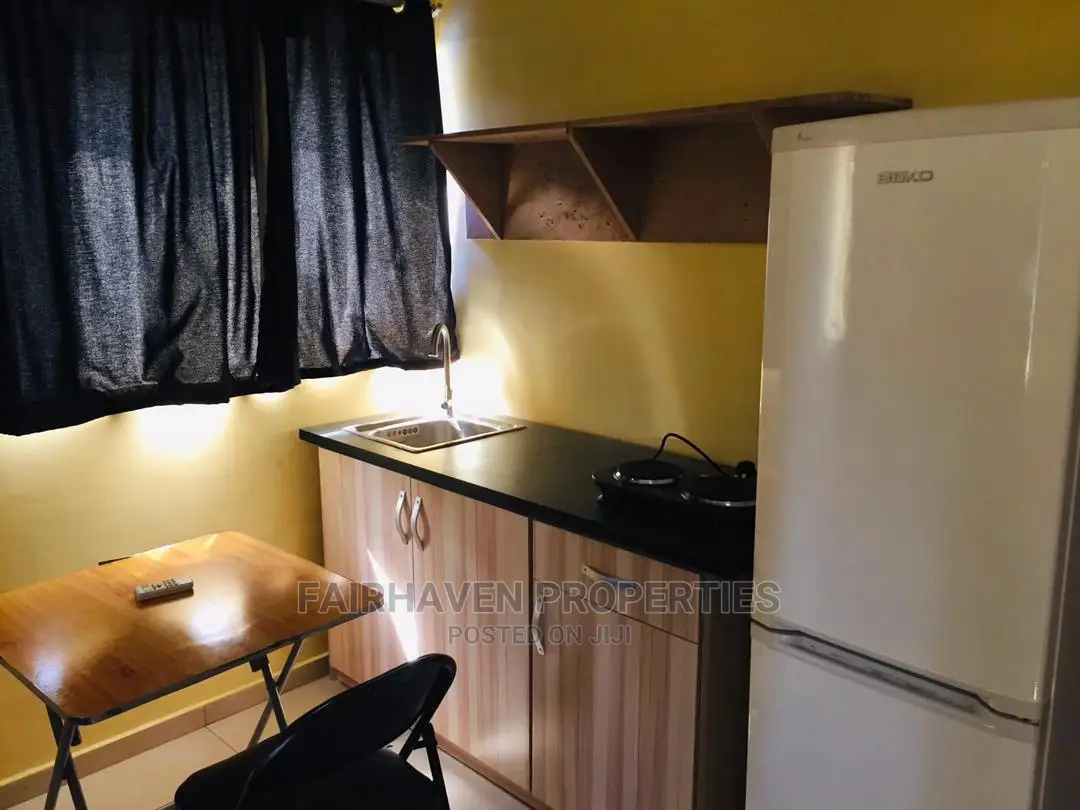 Furnished One Bedroom Apartment for Rent in Osu in Osu