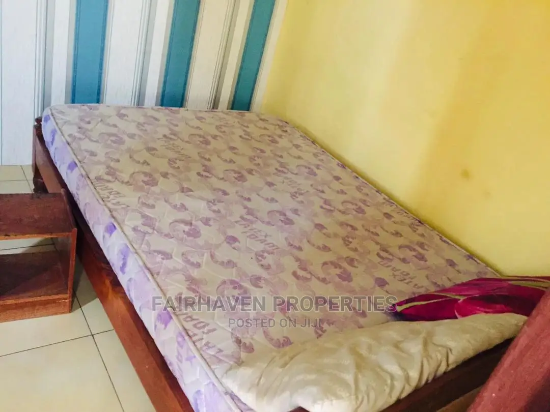 Furnished One Bedroom Apartment for Rent in Osu in Osu