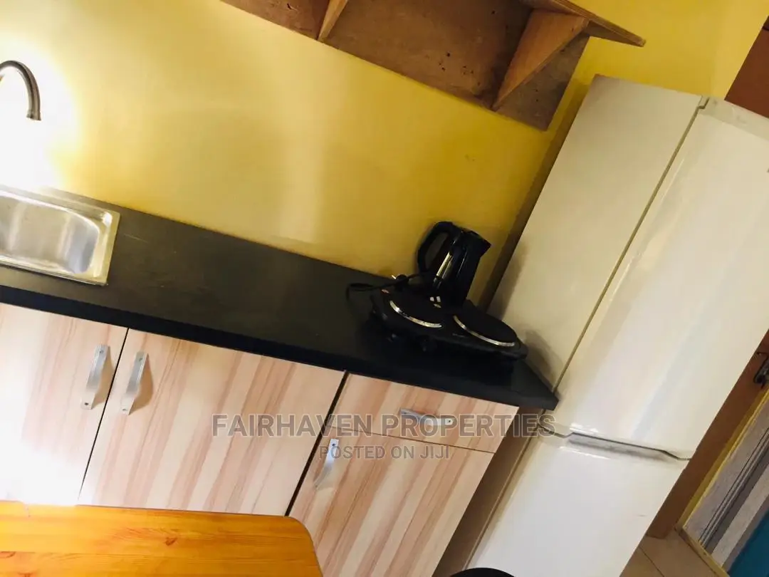 Furnished One Bedroom Apartment for Rent in Osu in Osu