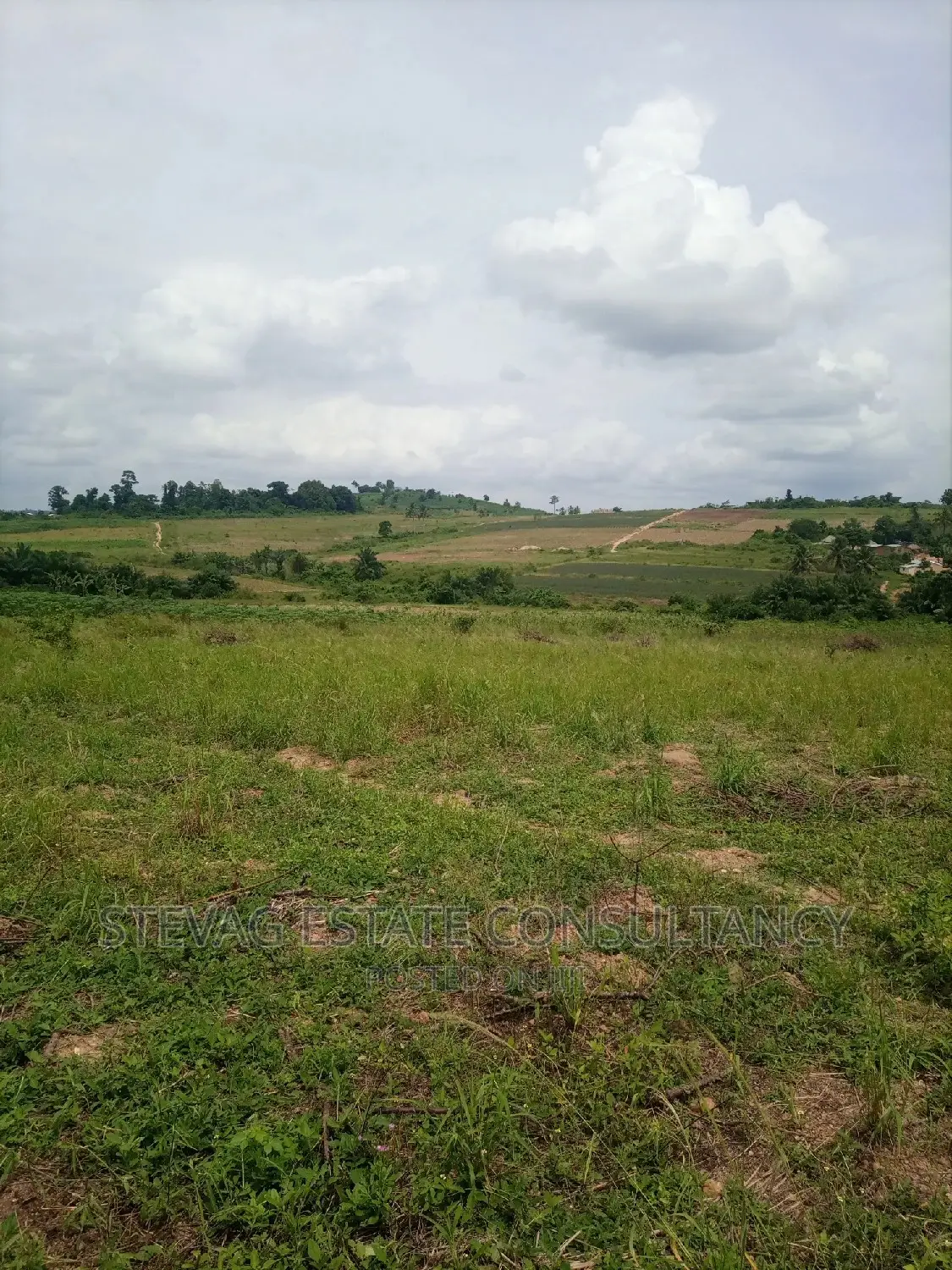 Alpha Properties Land for Sale at Amasaman Ashifla in Ga South Municipal