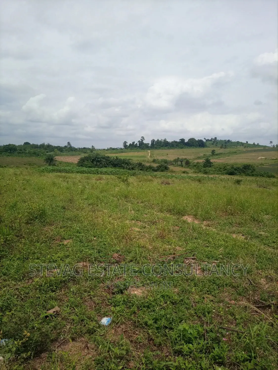 Alpha Properties Land for Sale at Amasaman Ashifla in Ga South Municipal