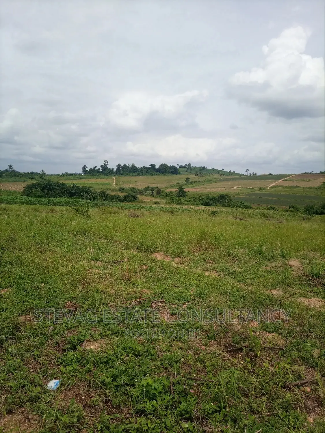 Alpha Properties Land for Sale at Amasaman Ashifla in Ga South Municipal