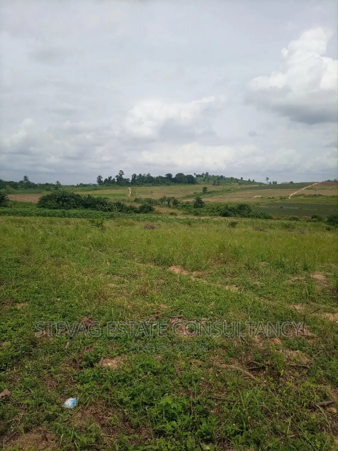 Alpha Properties Land for Sale at Amasaman Ashifla in Ga South Municipal