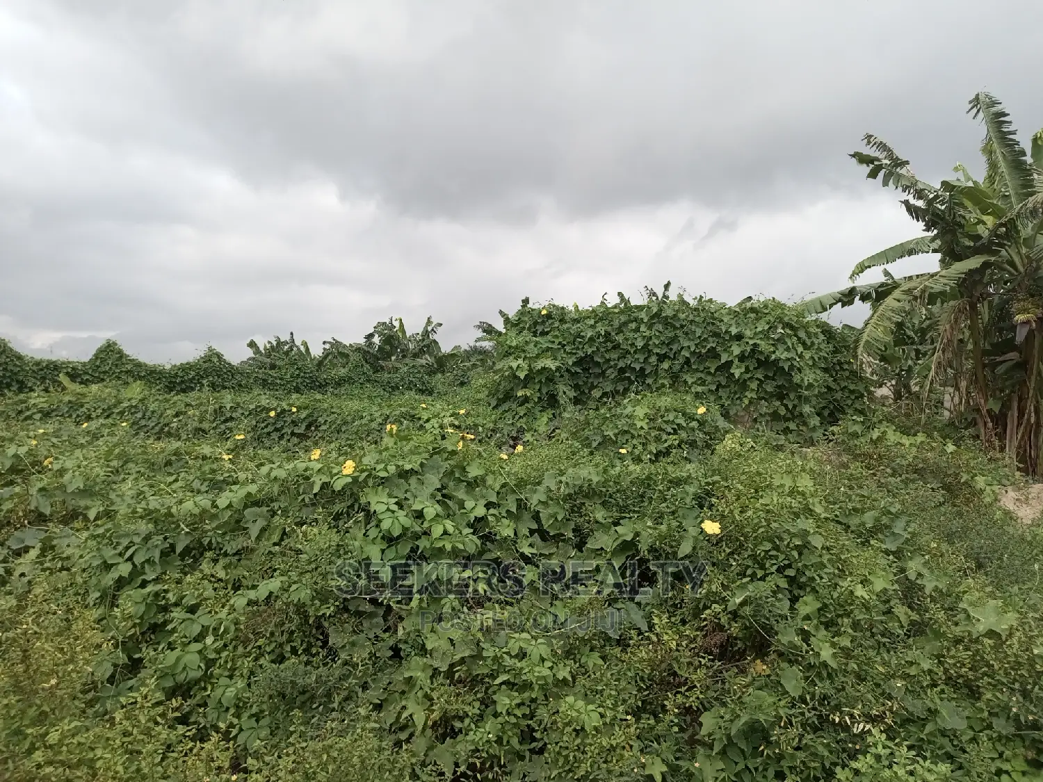 1plot of Land at Abokobi Is Presbyterian Church in Abokobi