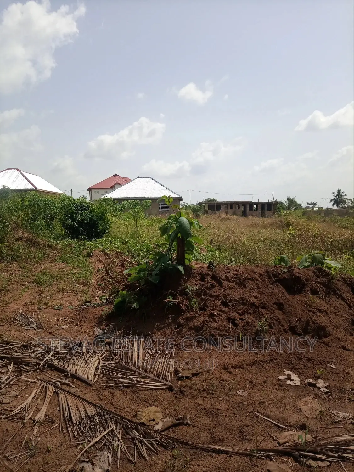 Alpha Properties Estate Land for Sale at Nsawam Ayibontey in Akuapim South