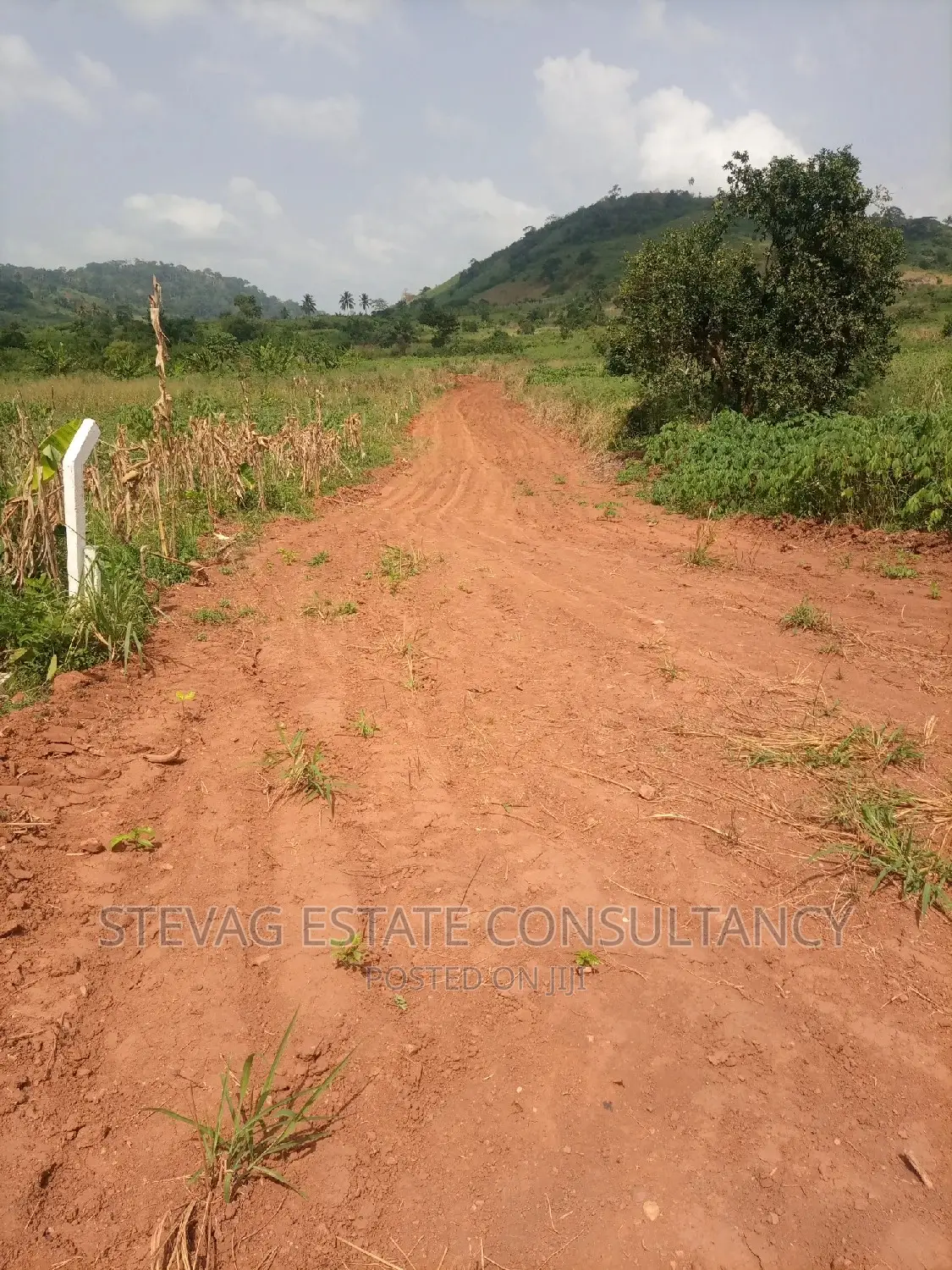 An Estate Main Road Land at Nsawam Ayibontey 4sale in Akuapim North