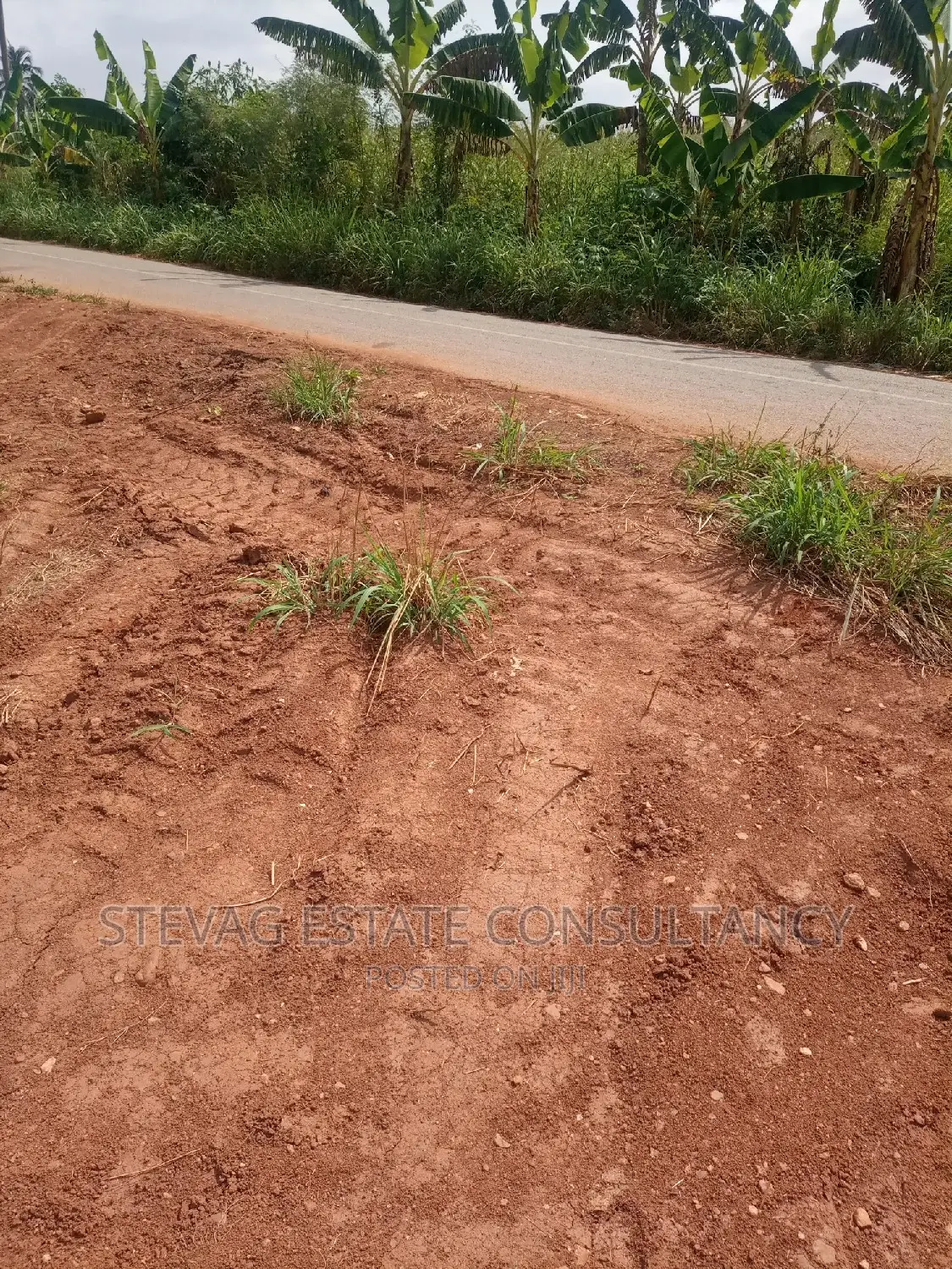 An Estate Main Road Land at Nsawam Ayibontey 4sale in Akuapim North