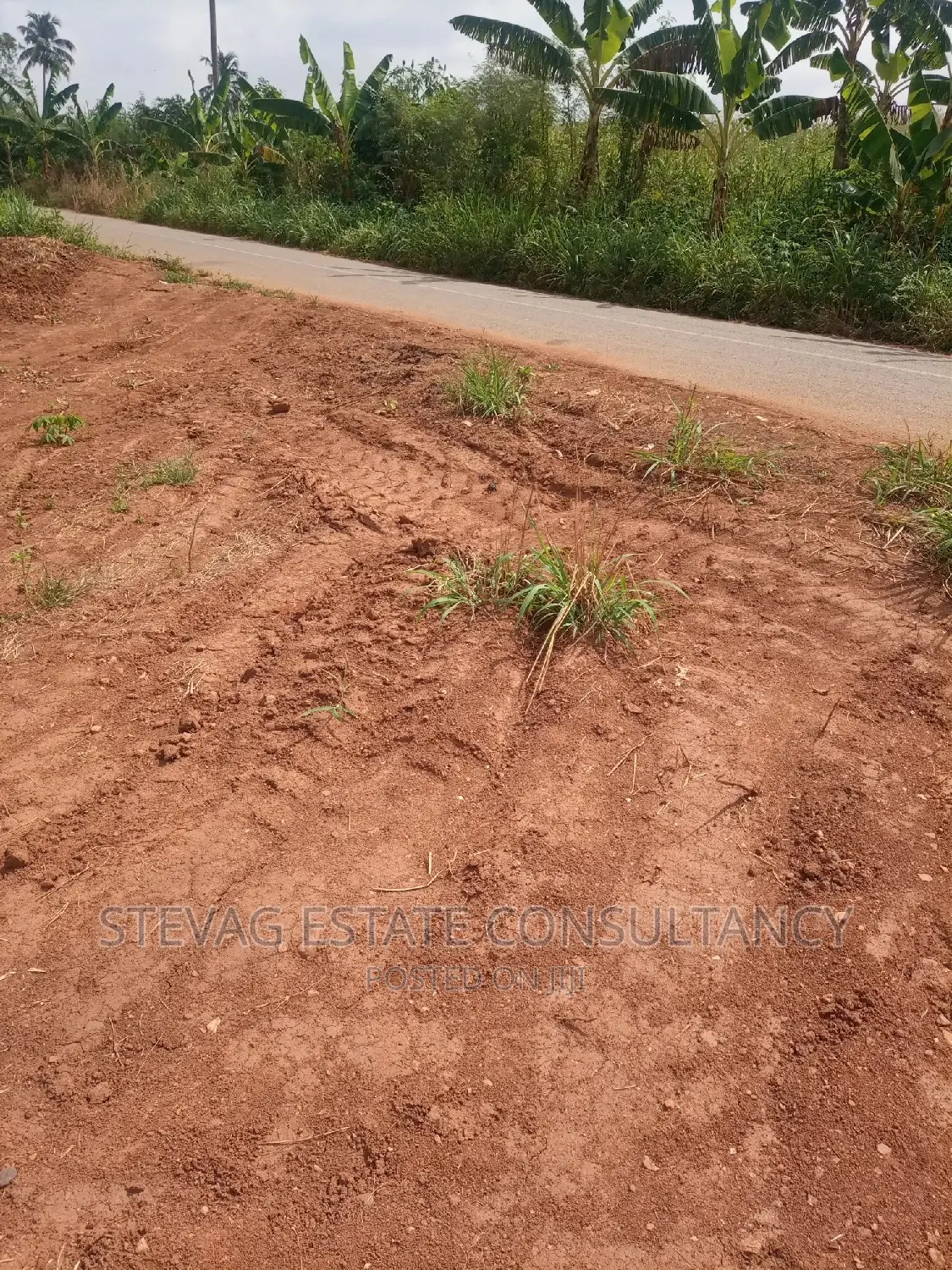 An Estate Main Road Land at Nsawam Ayibontey 4sale in Akuapim North