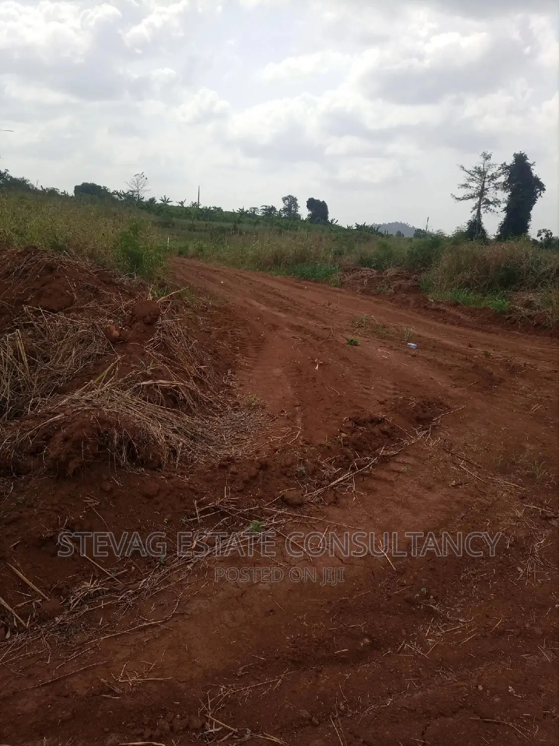 Real Estate Land at Nsawam Obodan for Sale in Akuapim South