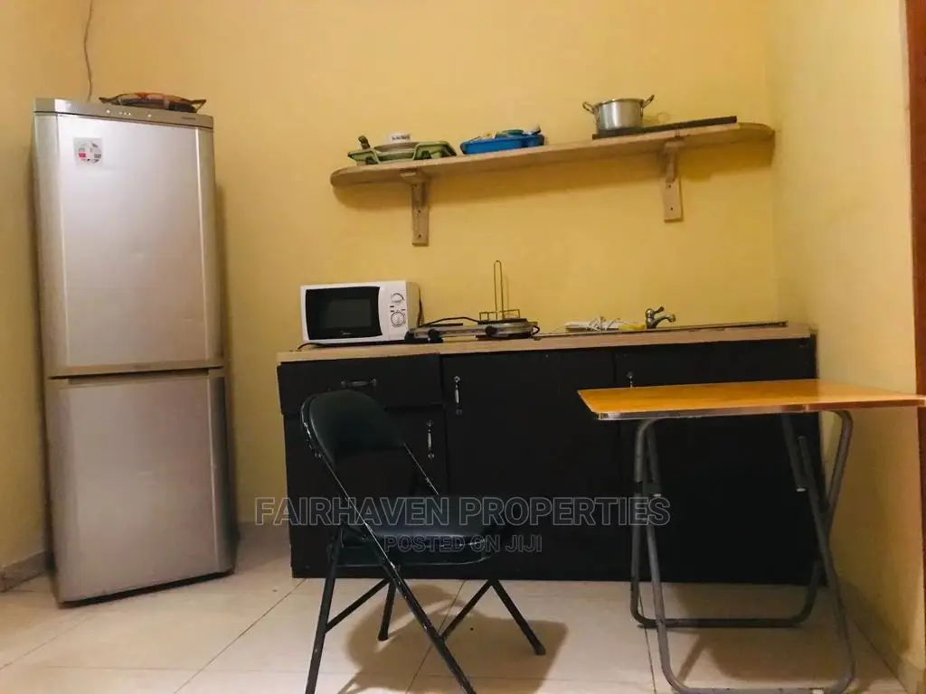 Furnished 1bedroom Apartment at Osu in Osu