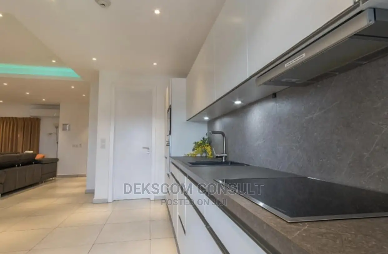 Furnished 1bdrm Apartment in Osu for rent in Osu