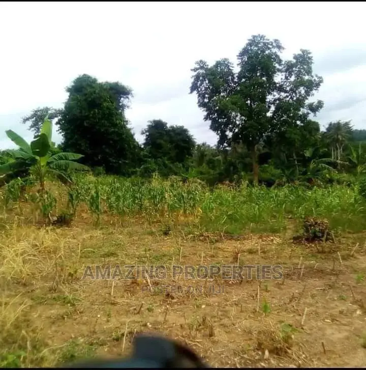 550 Acres at Nsawam Accra Kumasi New Highway,Is in Accra Metropolitan