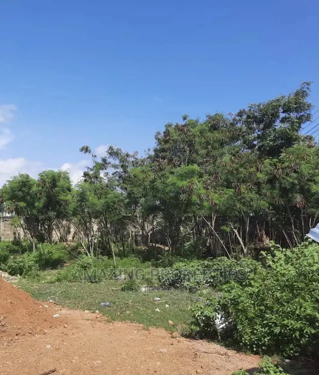 12 Plots of Land Along the Tema Motorway in Tema Metropolitan