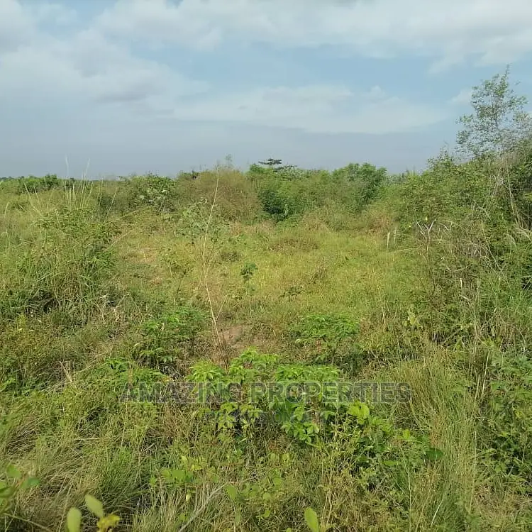 6,000 Acres of Farmland for Sale at Asamankese Quarshie in East Akim Municipal