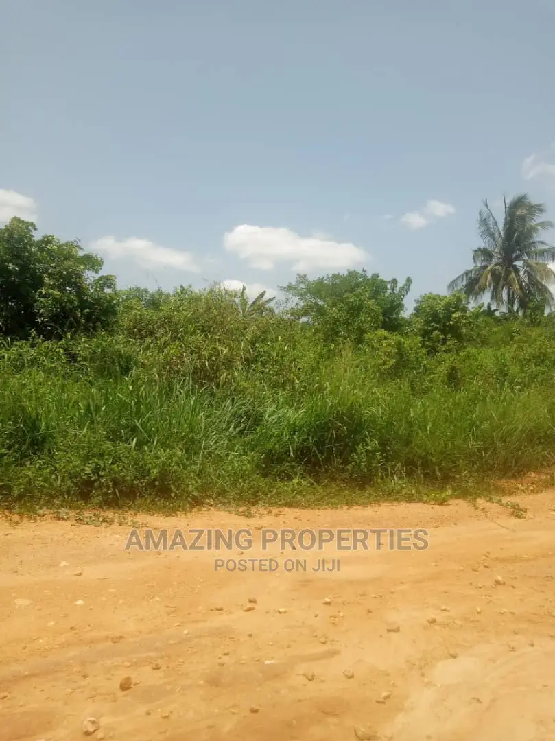 200 Acres at Omenako Suhum Road for Ghc25.000 Per Acre in Suhum/Kraboa/Coaltar