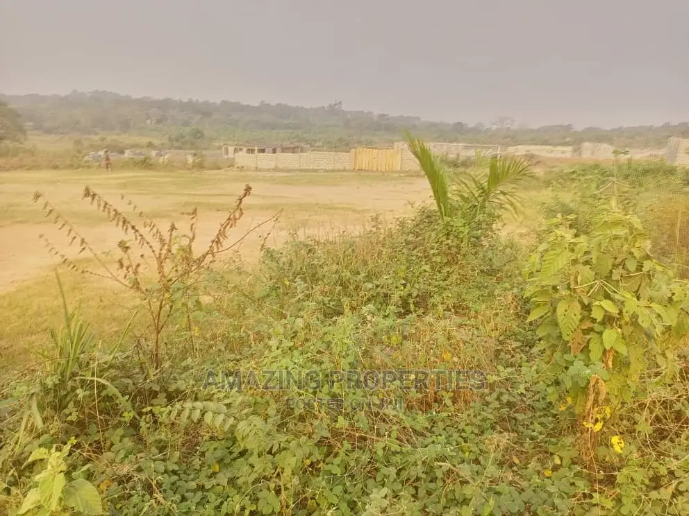 400 Acres of Land at Dodowa Ayikuma Per Acre Is 100,000 Ghc in Dodowa