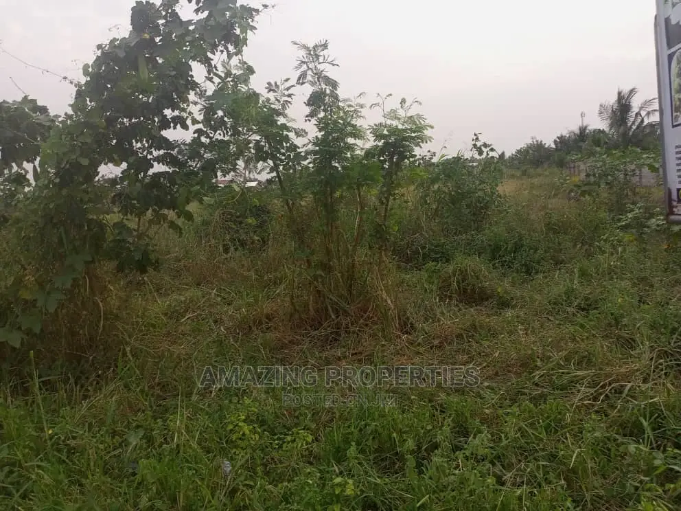 6000acres of Land Available for Sale at Dodowa in Dodowa