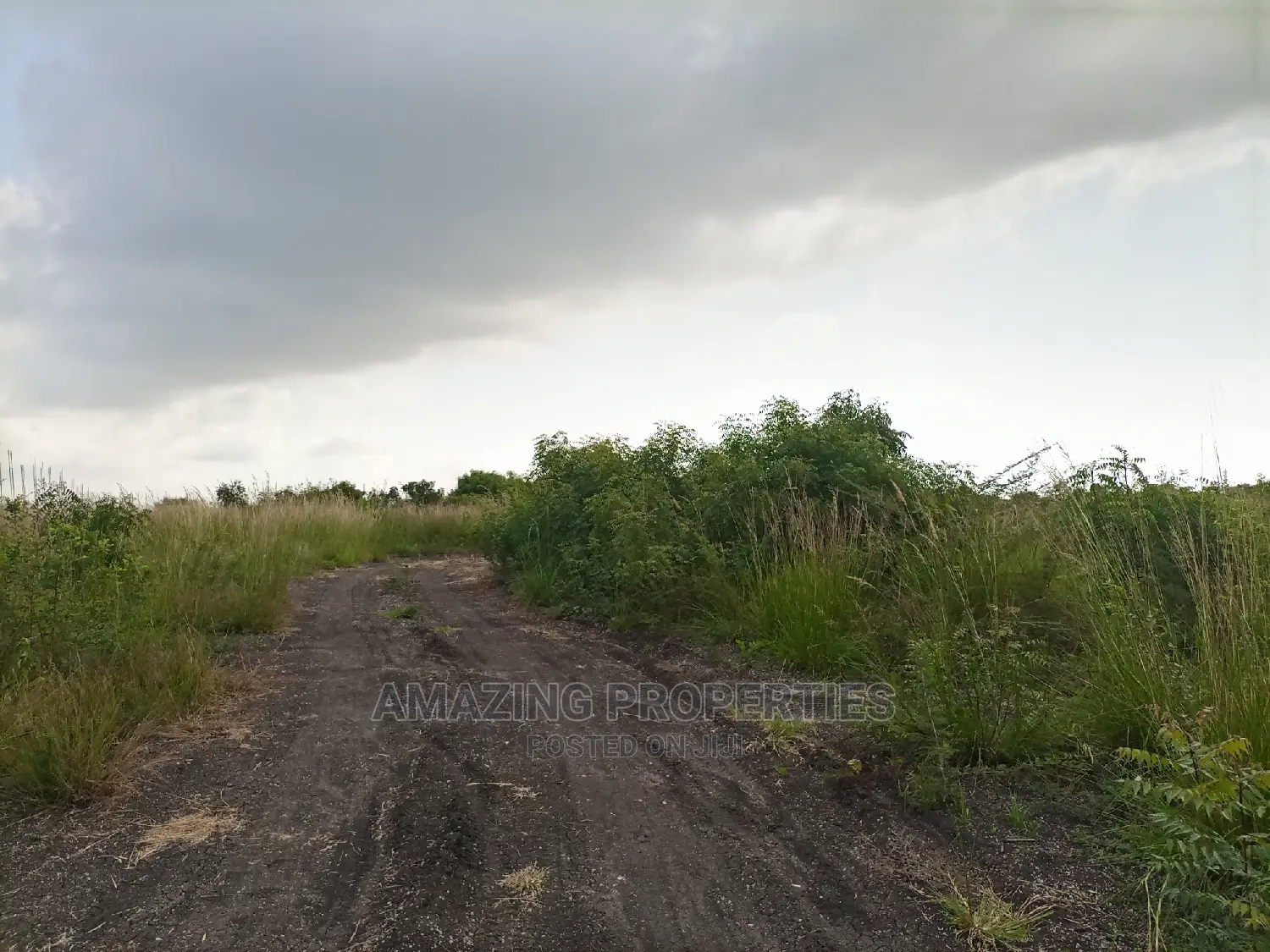 For Sale 3000acres of Land at Asebi, Shai-Osudoku District in Accra Metropolitan