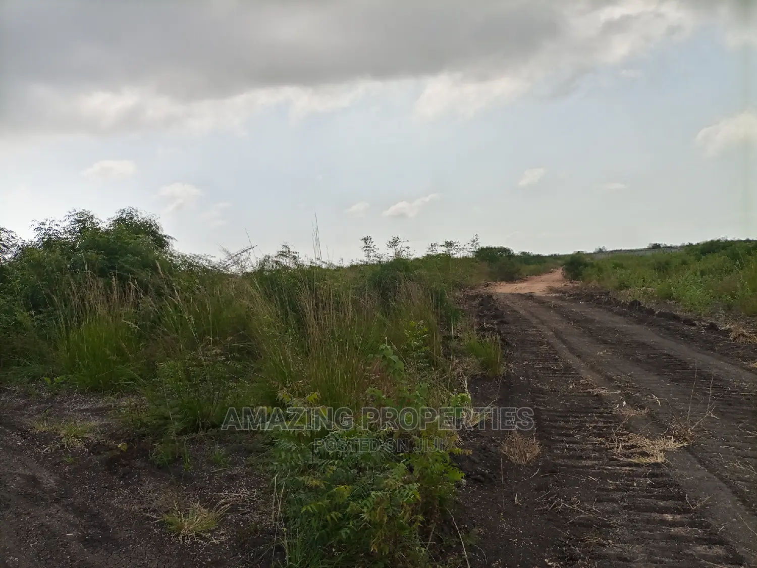230acres of Roadside Land Available for Sale Dawenya Central in Accra Metropolitan