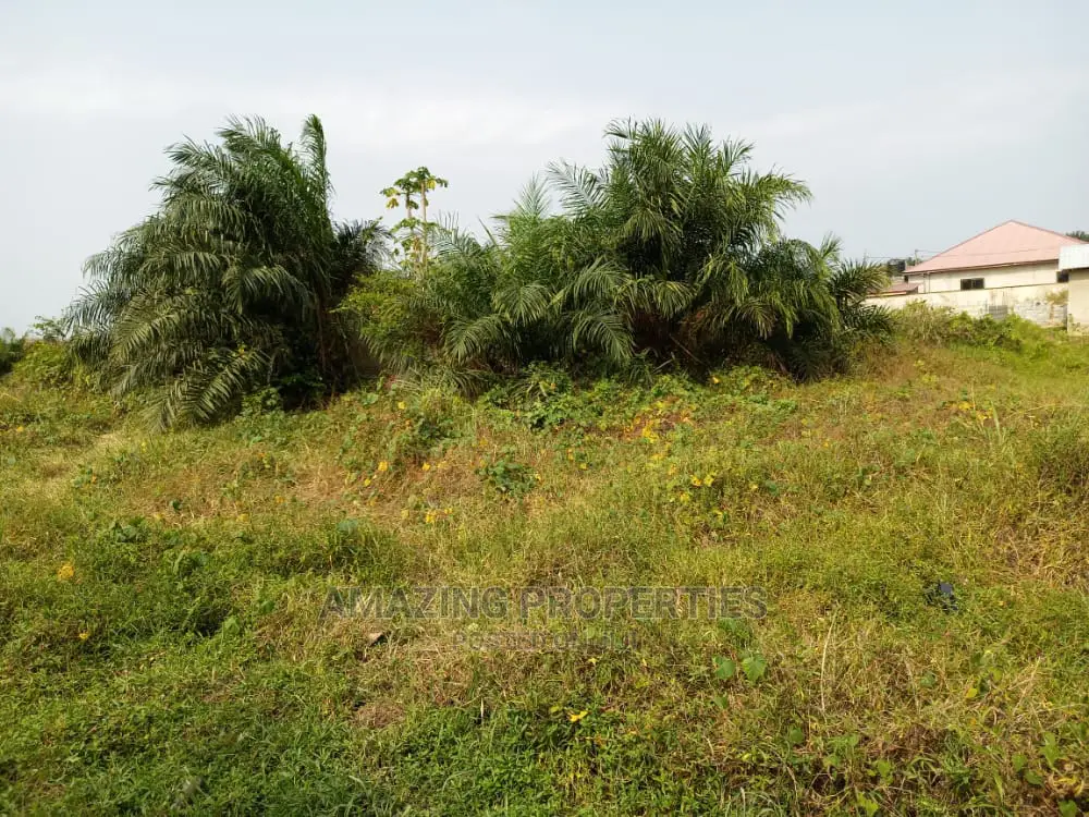 For Sale 200 Acres of Land at Omenako Suhum Road in Suhum/Kraboa/Coaltar