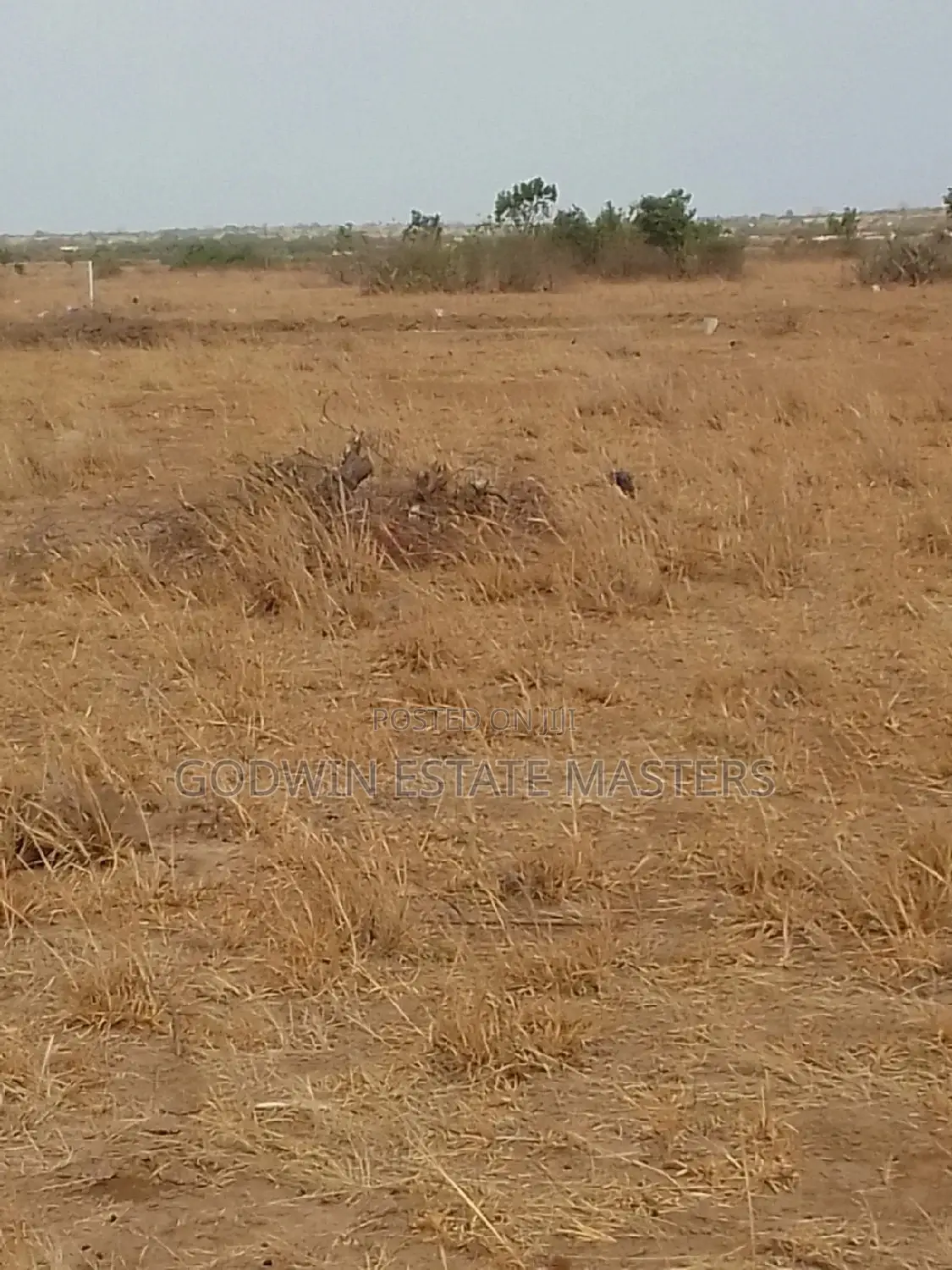Cleared Flat Plots for Sale in Tema Metropolitan