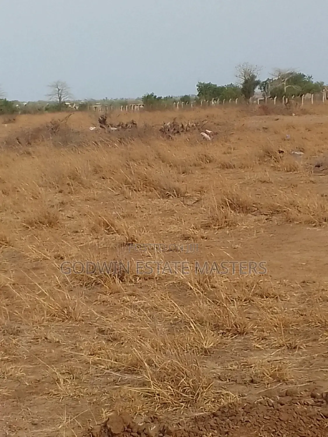 Genuine Amazing Plots of Lands for Sale at Bueko in Prampram in Tema Metropolitan