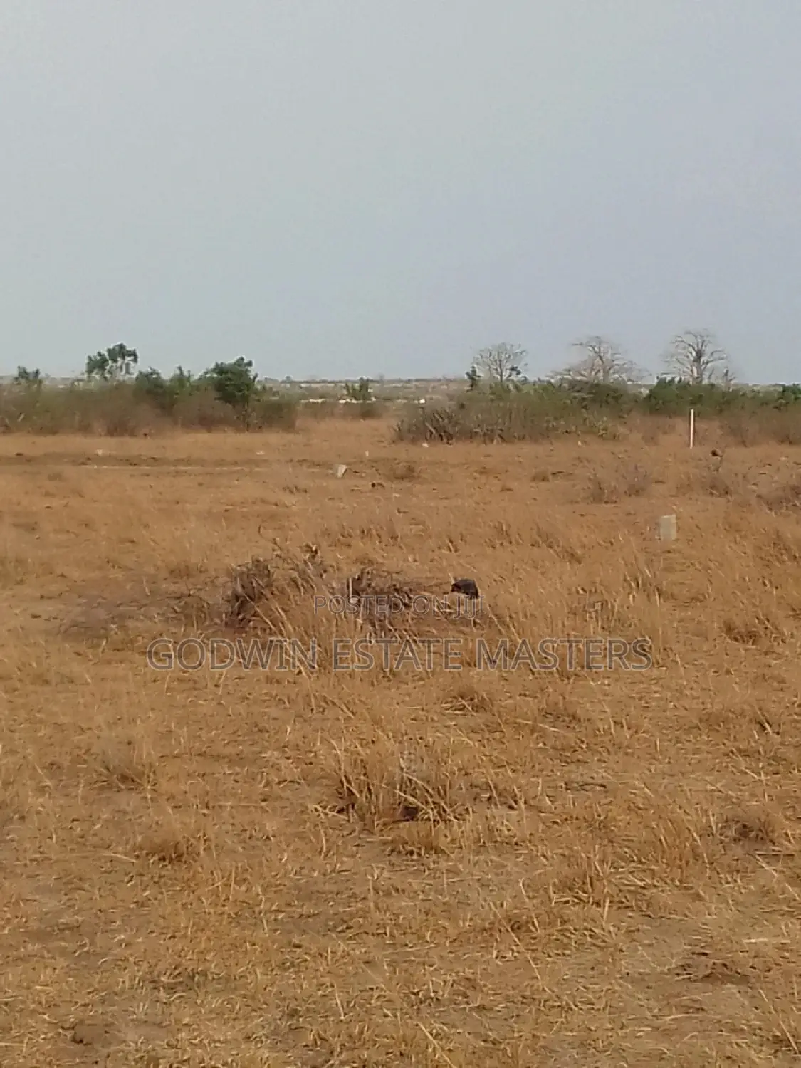 Titled Serviced Plots for Sale at Bueko in Tema Metropolitan