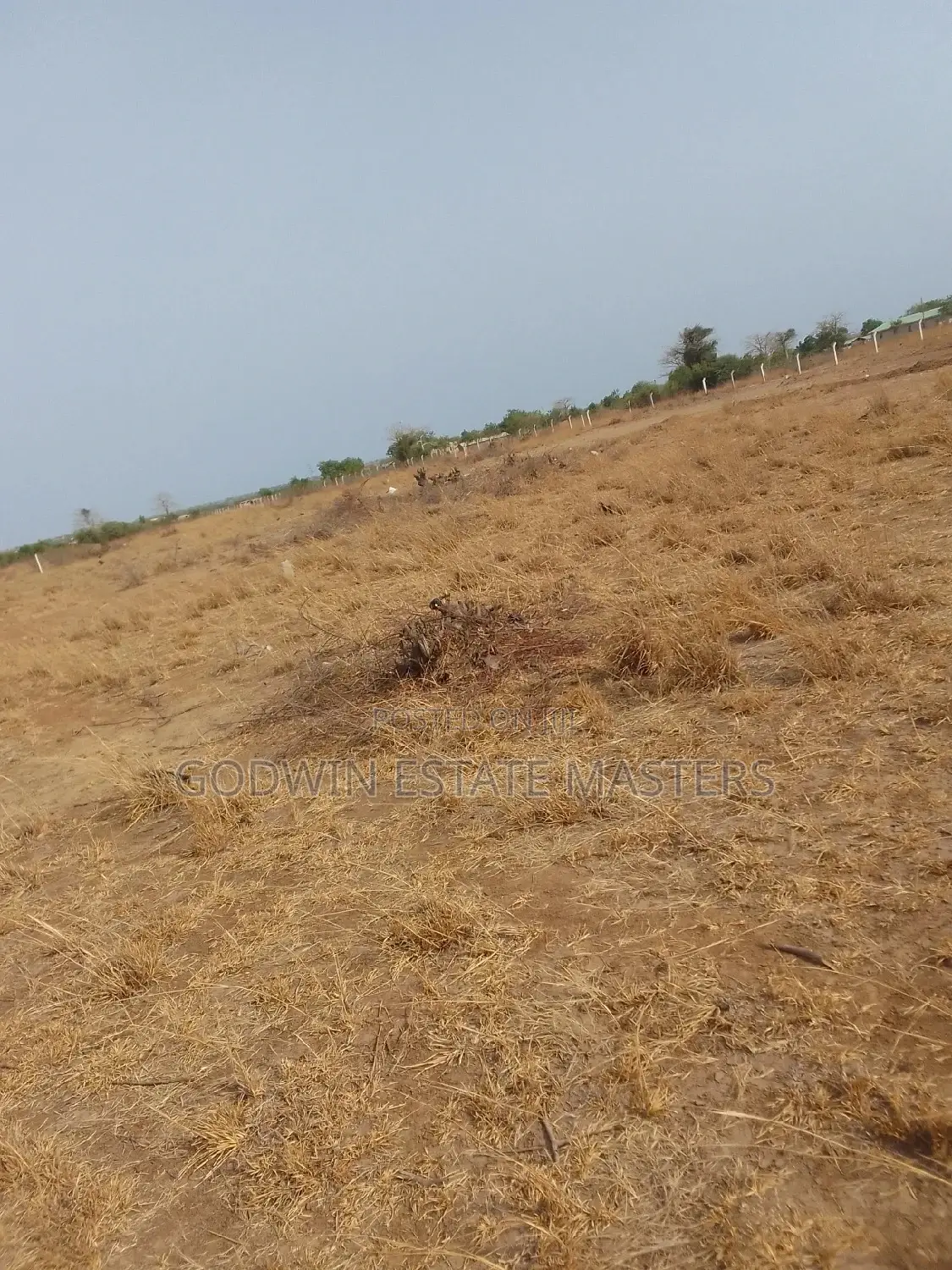 Affordable and Well Demarcated Plots for Sale in Tema Metropolitan