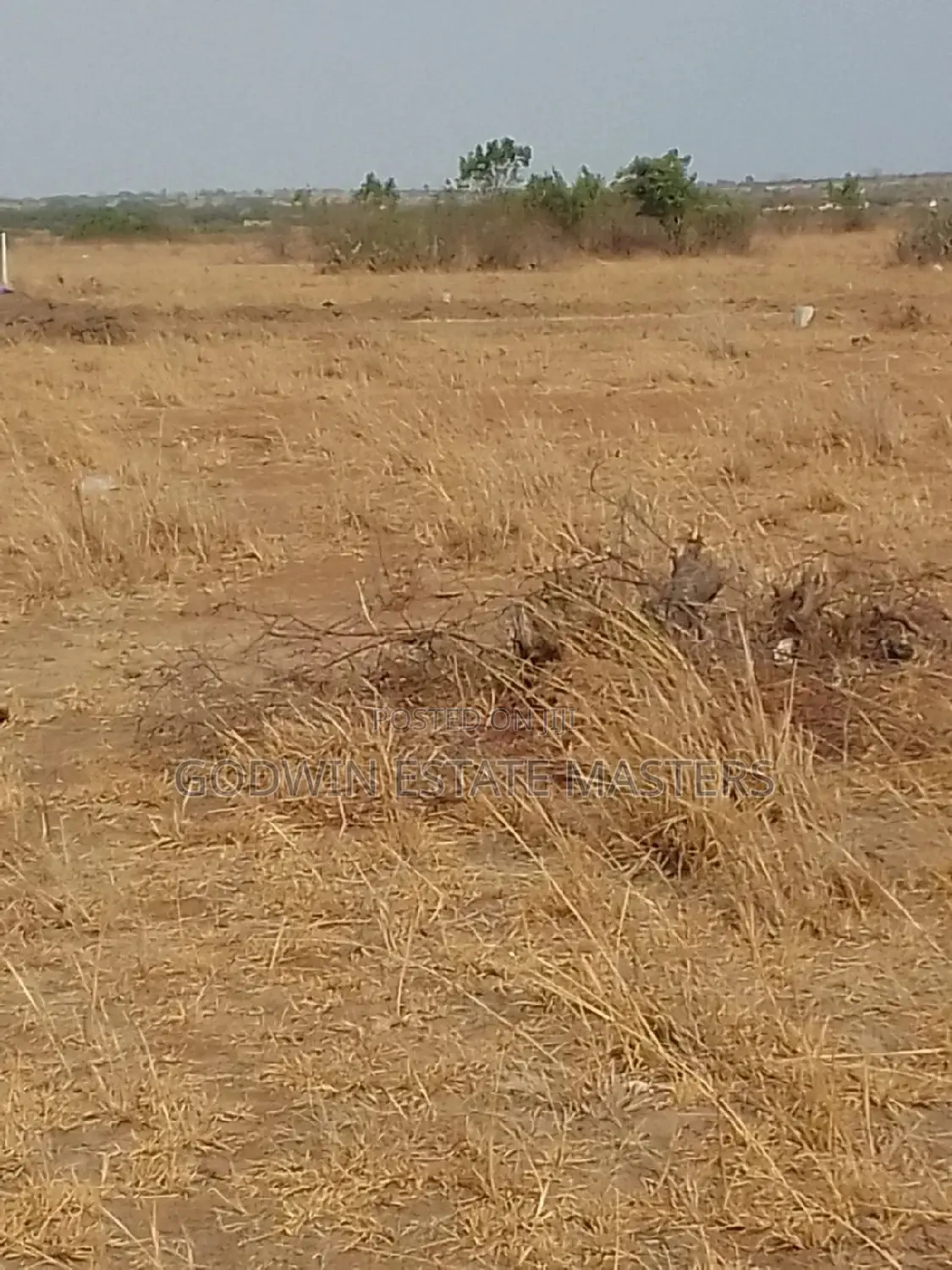 Available Lands at Serene Locations in Tema Metropolitan