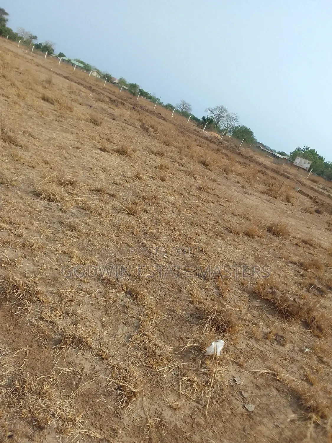 Available Lands at Serene Locations in Tema Metropolitan