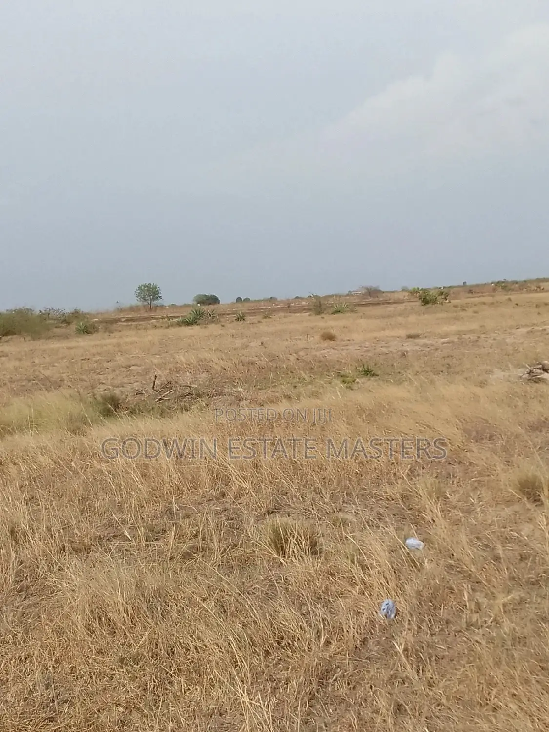 Clear Surface Plots Available at Tsopoli in Tema Metropolitan